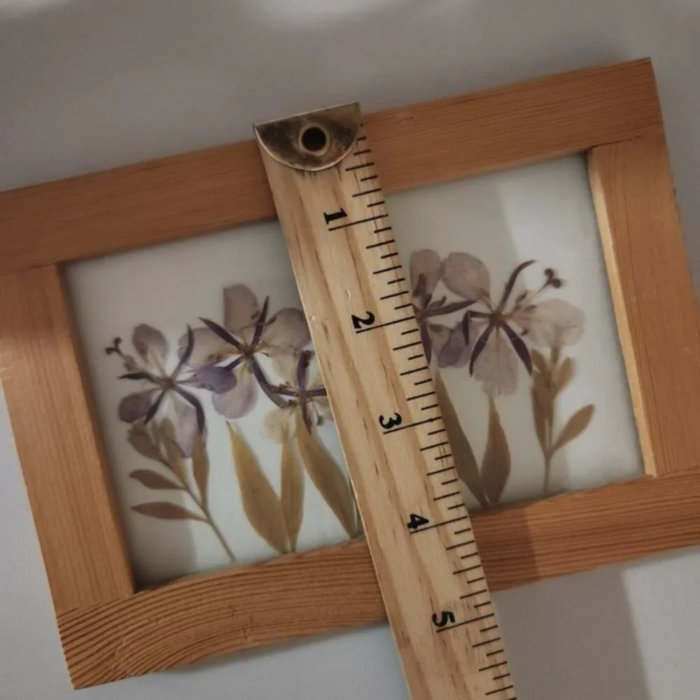 Framed Pressed Flowers Art Botanical‎ Nature Decor Wooden Frame